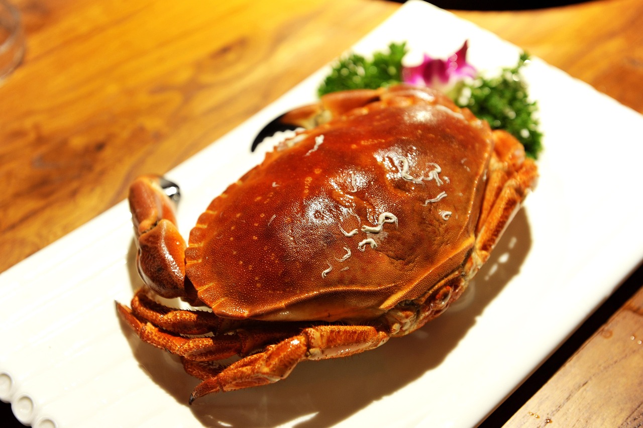 제주도1년렌트
