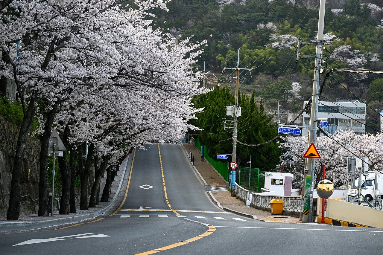 부산 회식