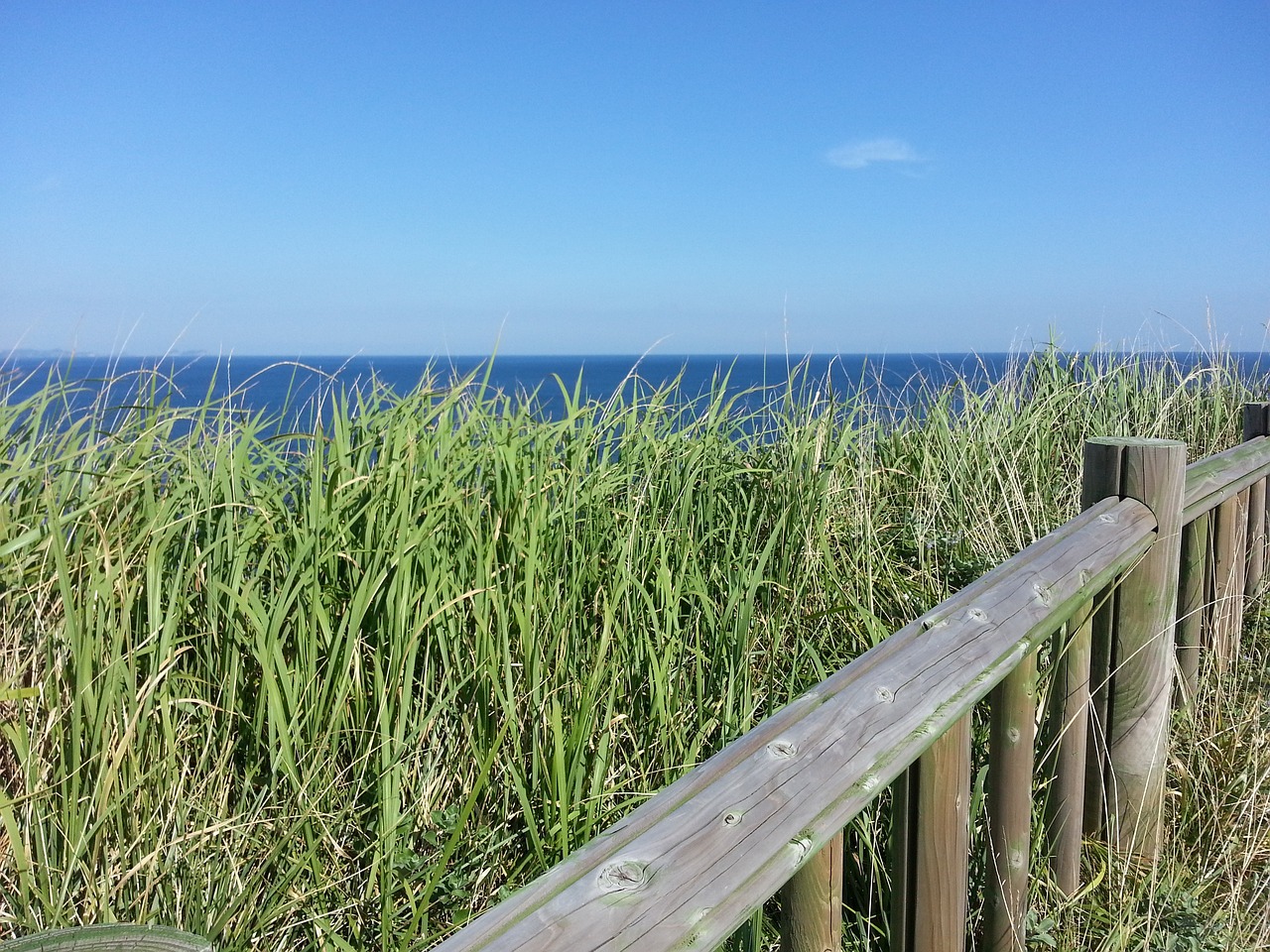 제주 워케이션
