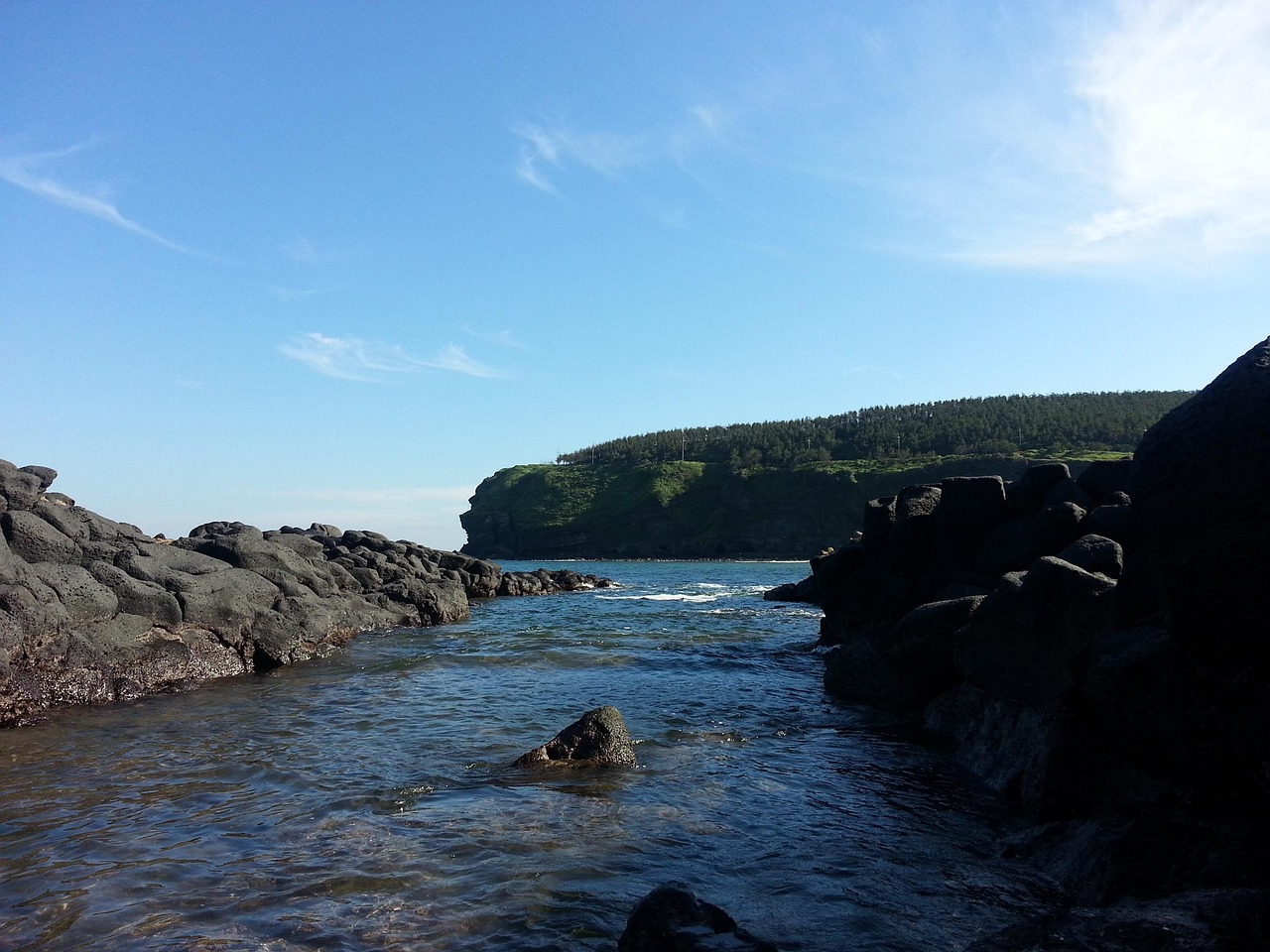 제주도 특산품