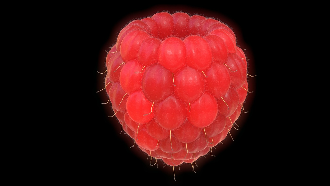 3년장기렌트