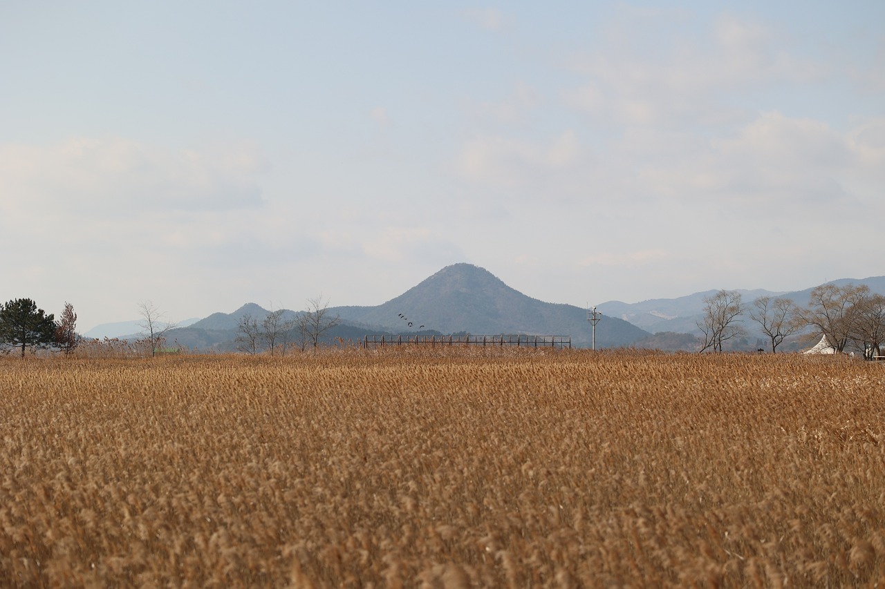 순천장기렌트