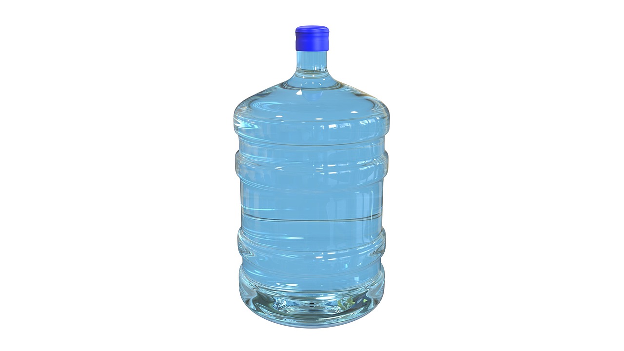 20대장기렌트