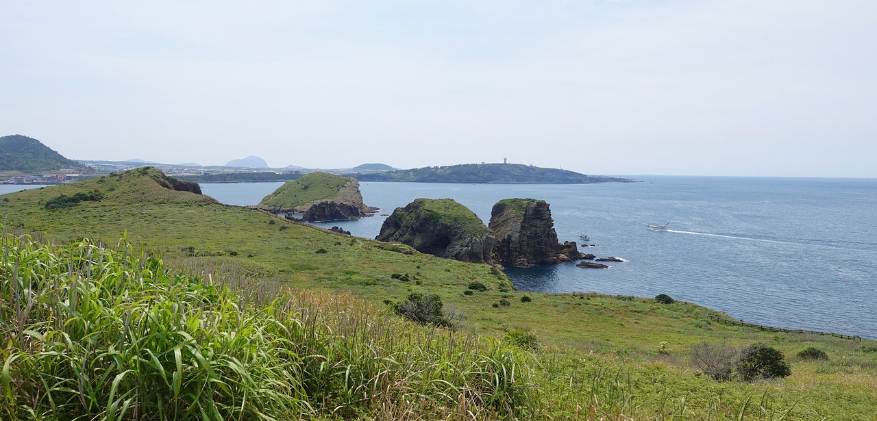 제주 콘도