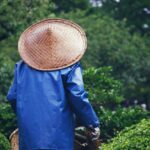 닭강정 완벽하게 만드는 꿀팁 알아보자