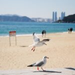 부산 회식 장소 추천 리스트 살펴보기