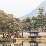 서울 렌트카 비교하는 꿀팁