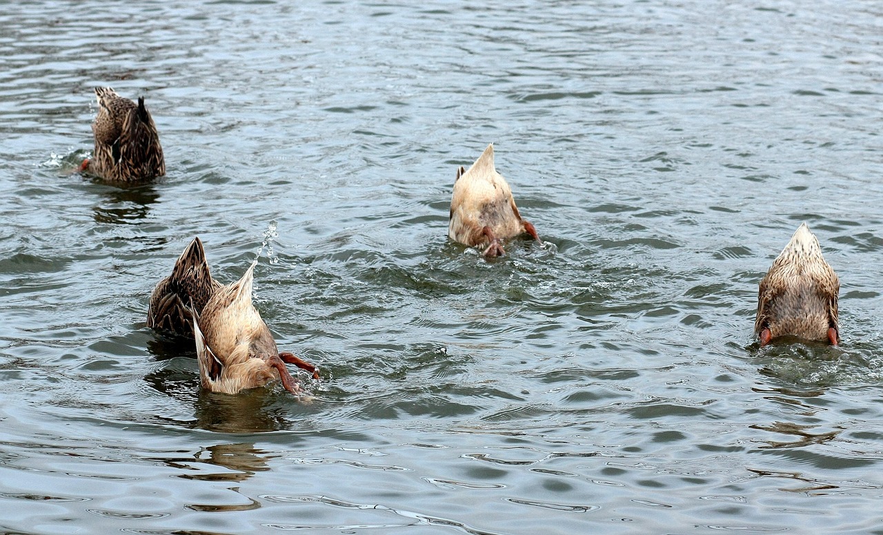 신차전액할부조건