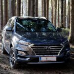 국산 SUV 순위 살펴보기
