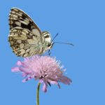 장기렌트카 인수 시 체크리스트 살펴보기