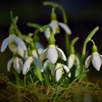 초기비용 없는 장기렌트 살펴보기